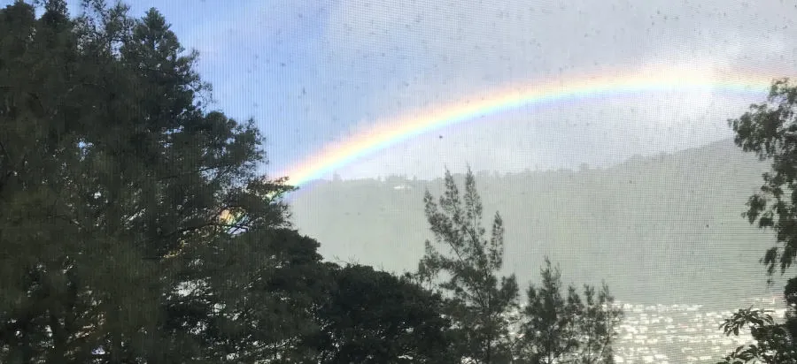 A rainbow.