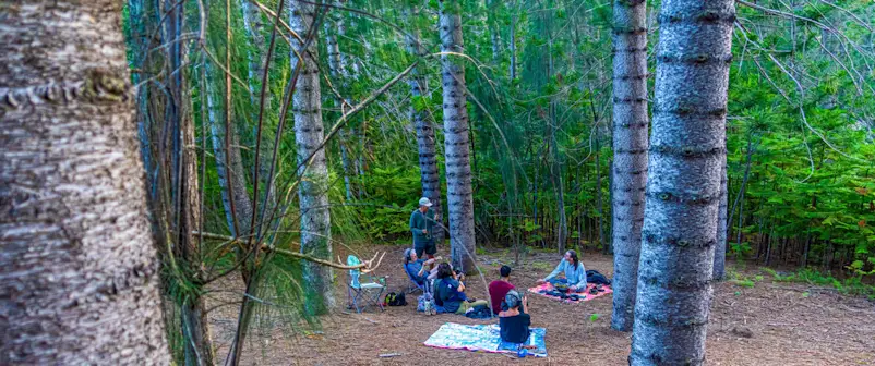 People gather to listen to sound art and consider the value of this forest